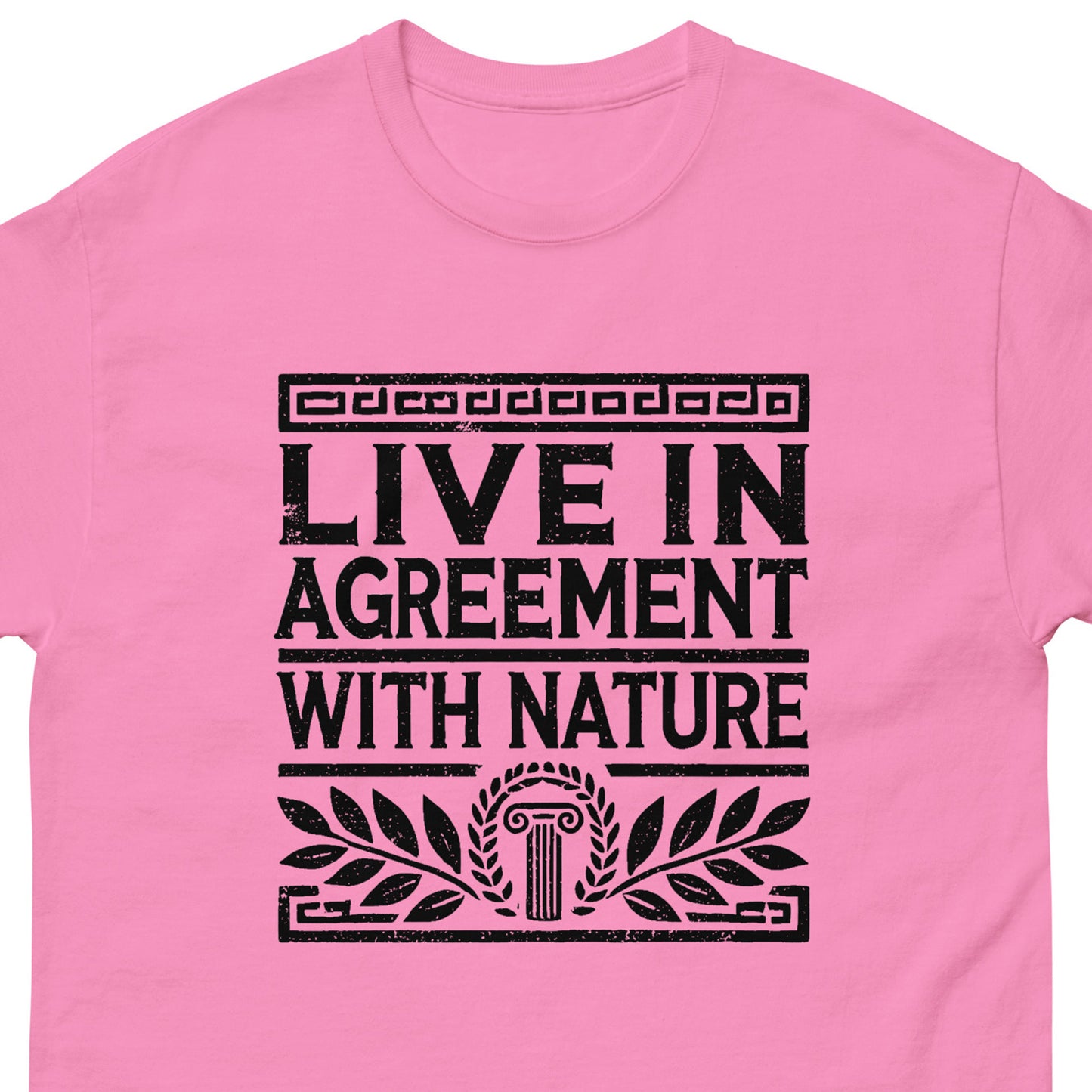 Azalea crewneck t-shirt featuring a distressed black graphic print that reads 'LIVE IN AGREEMENT WITH NATURE' framed by decorative Greek key and laurel wreath motifs.