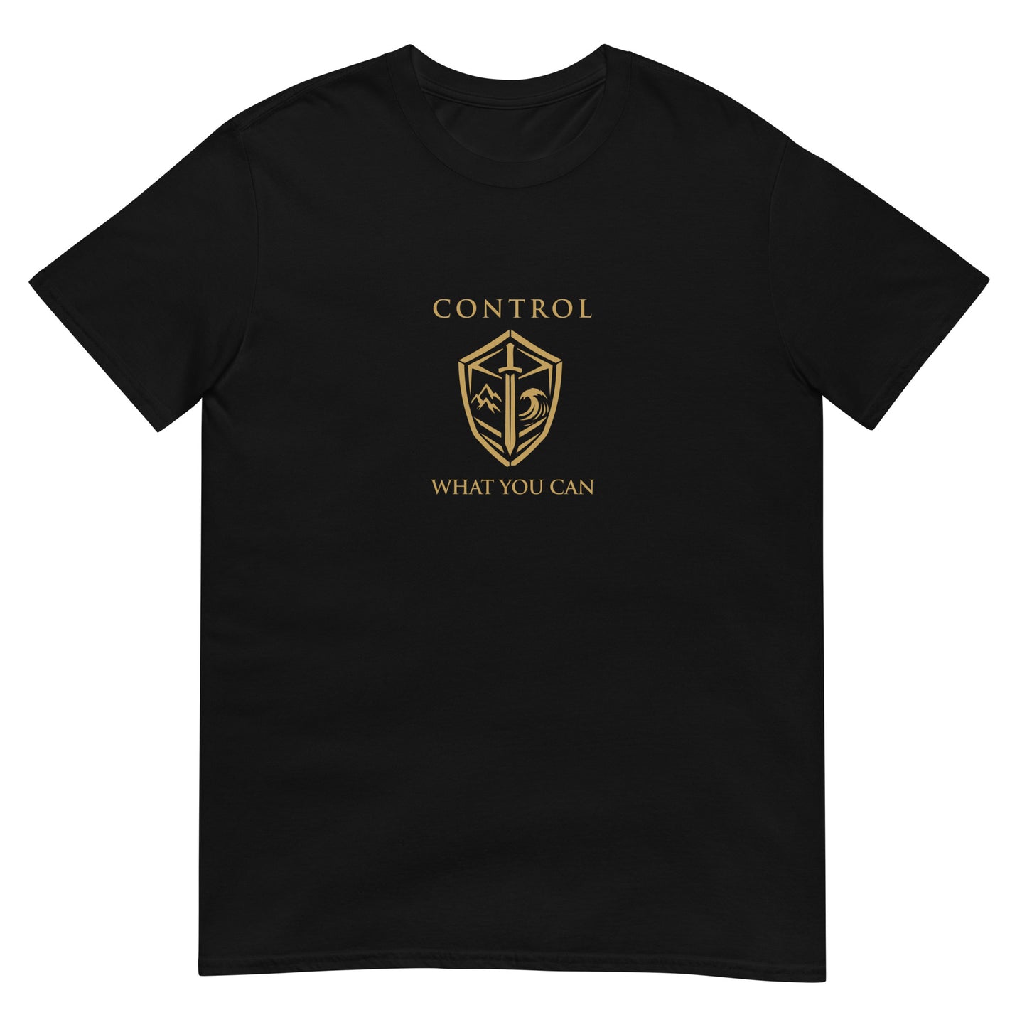 Black Control What You Can Stoic philosophy t-shirt featuring a minimalist shield emblem with structured serif typography in a clean symmetrical design.