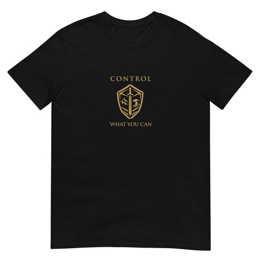 Black Control What You Can Stoic philosophy t-shirt featuring a minimalist shield emblem with structured serif typography in a clean symmetrical design.