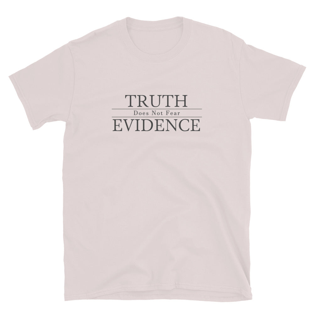 Ice grey  t-shirt  with text Truth Does Not Fear  Evidence.